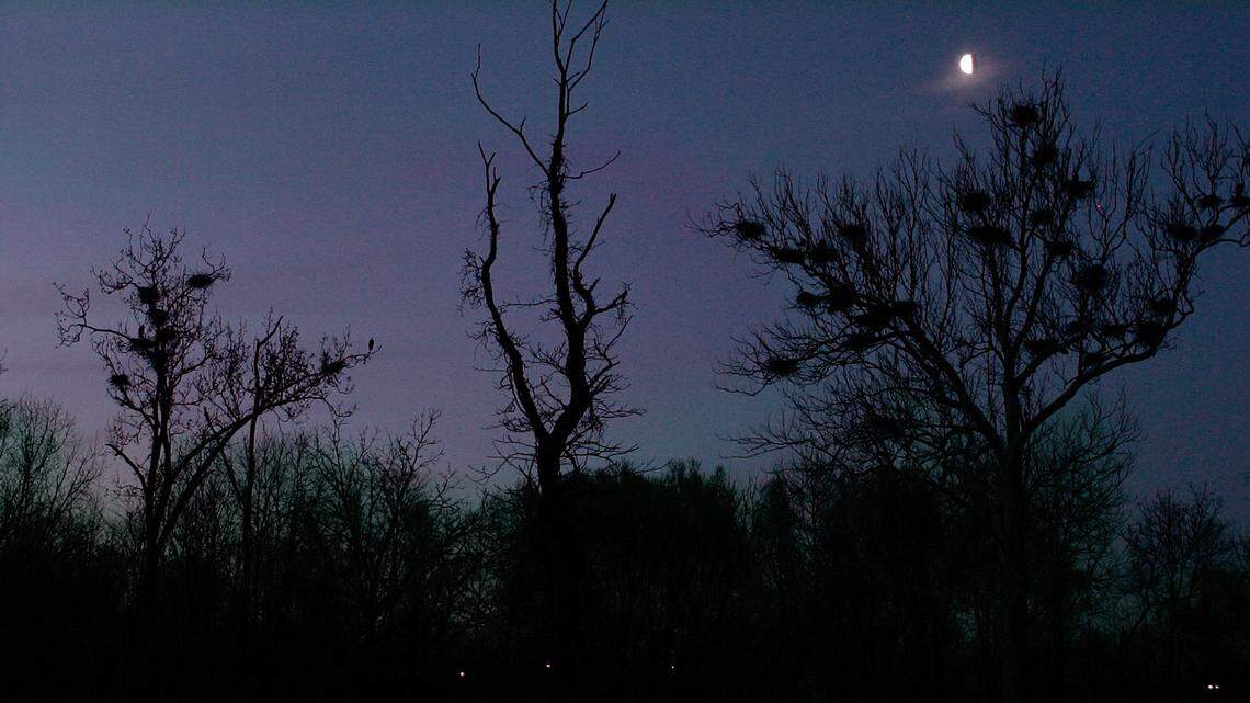 File photo of Cuyahoga Valley National Park in Akron, Ohio. A hiker recently found a man’s body in the park, officials say, and autopsy results are pending.