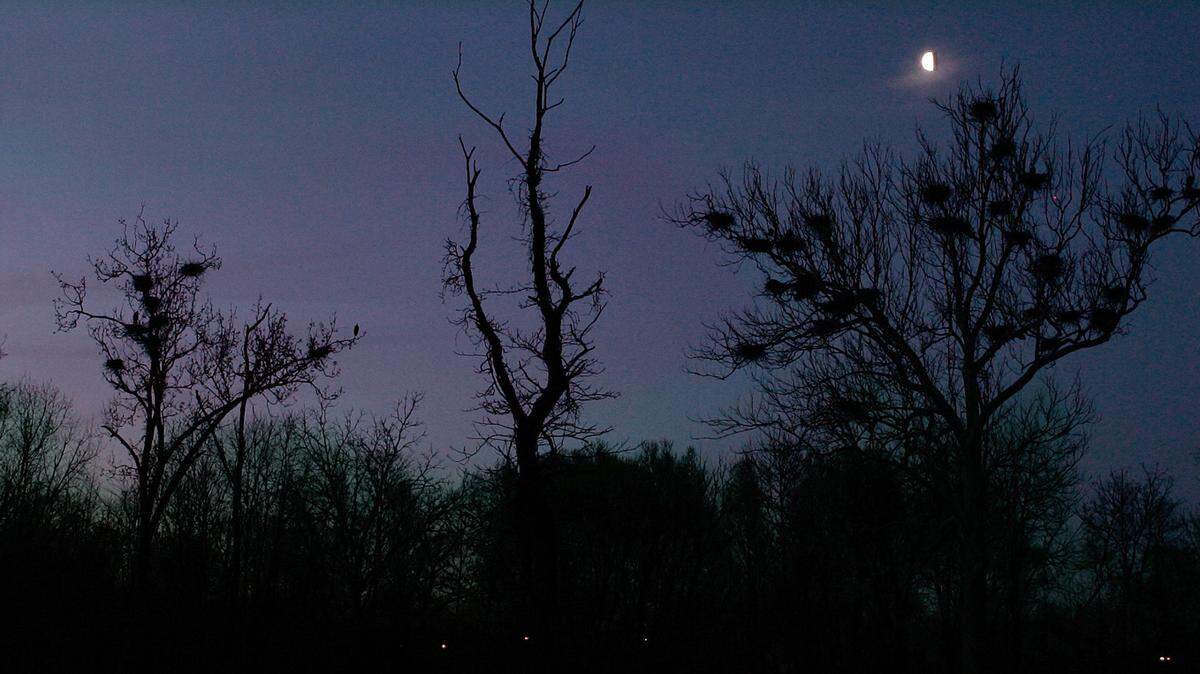 File photo of Cuyahoga Valley National Park in Akron, Ohio. A hiker recently found a man’s body in the park, officials say, and autopsy results are pending.