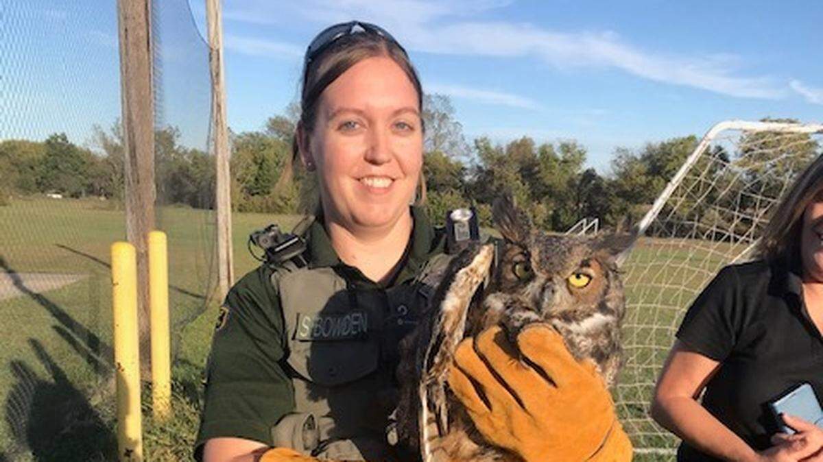 This owl was rescued from a Kansas soccer field, officials said.