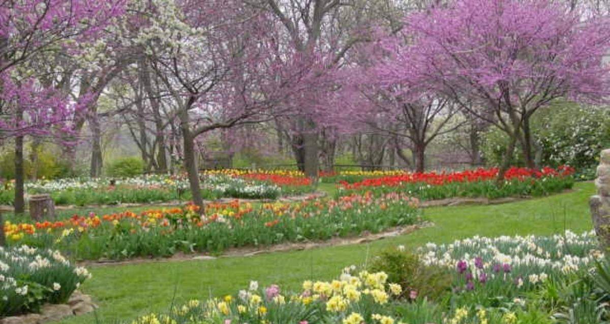 A field awash in colorful blooms is a welcome spring sight.