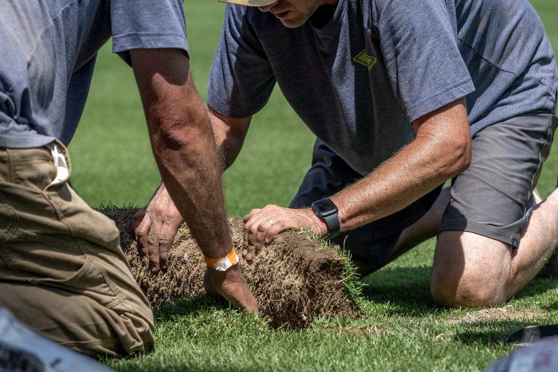 Crews work to blend seams between newly laid sod and existing turf while converting the field for rugby at CPKC Stadium on Tuesday, April 14, 2026, in Kansas City.