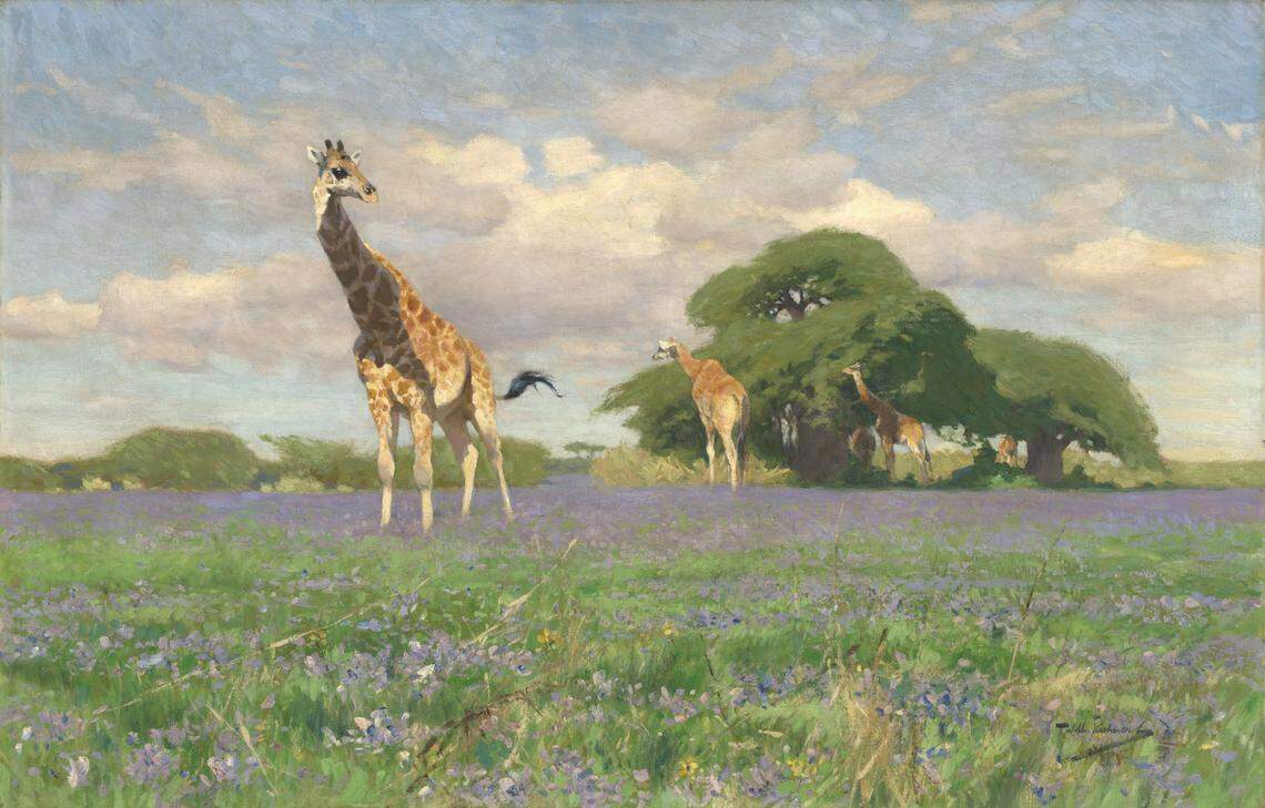 Wilhelm Kuhnert (German, 1865–1926).&nbsp;Giraffes in Blooming Field,&nbsp;Ulanga, Tanzania, from “Survival of the Fittest” exhibition at the Nelson-Atkins Museum of Art.