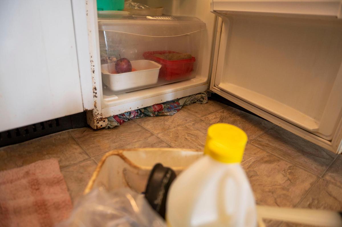 A resident at Cross-lines Retirement Center shows the mold on the refrigerator at her apartment. She stuffs a cloth under the fridge to keep the mice out, she said.