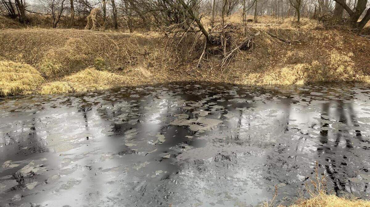 This photo by the U.S. Environmental Protection Agency shows oil from the Keystone Pipeline spill seeping into Mill Creek, a small tributary of the Kansas River, in northern Kansas on Friday, Dec. 9.