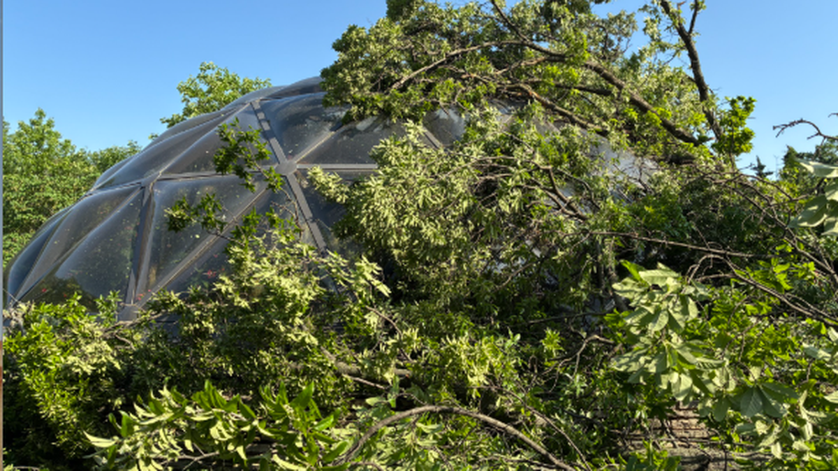 Strong winds during a storm caused trees to fall onto the butterfly enclosure at a Missouri Zoo.