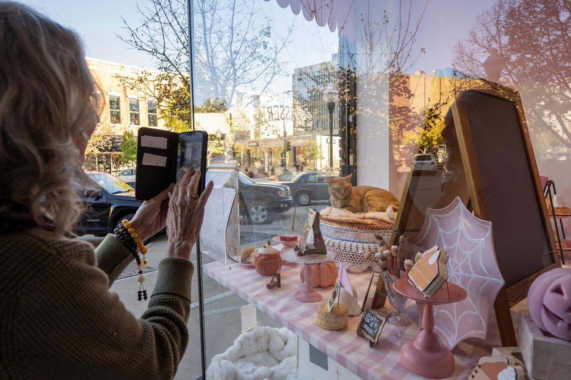 A customer takes a photo of Dave, a shop cat, as he lounges on a pie-shaped bed near the front window at Wonder Fair on Wednesday, Nov. 5, 2025, in Lawrence.
