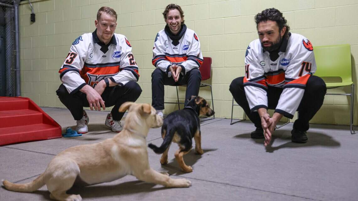 KC Mavericks split series at Tahoe Knight Monsters, volunteer with Wayside Waifs