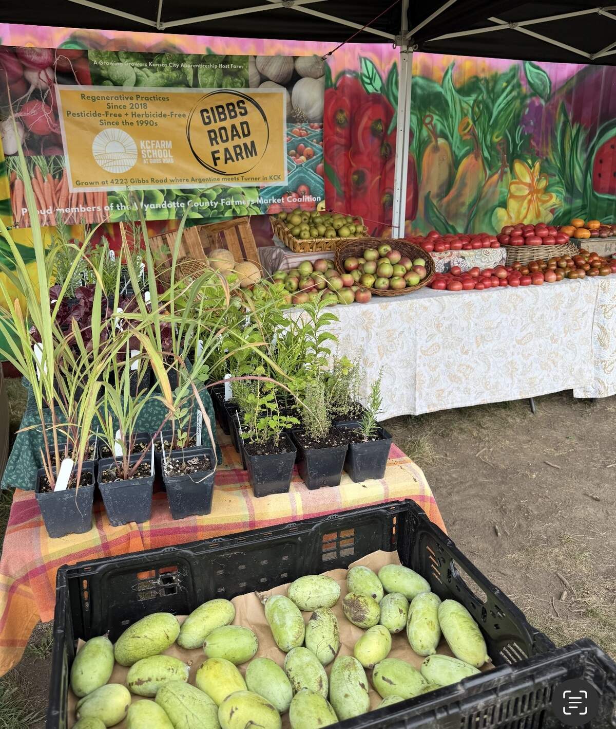 There are many farmers markets around town where you can connect with local farmers, with at least eight in Johnson County alone, and multiple others in the metro, like this one in Kansas City, Kansas.