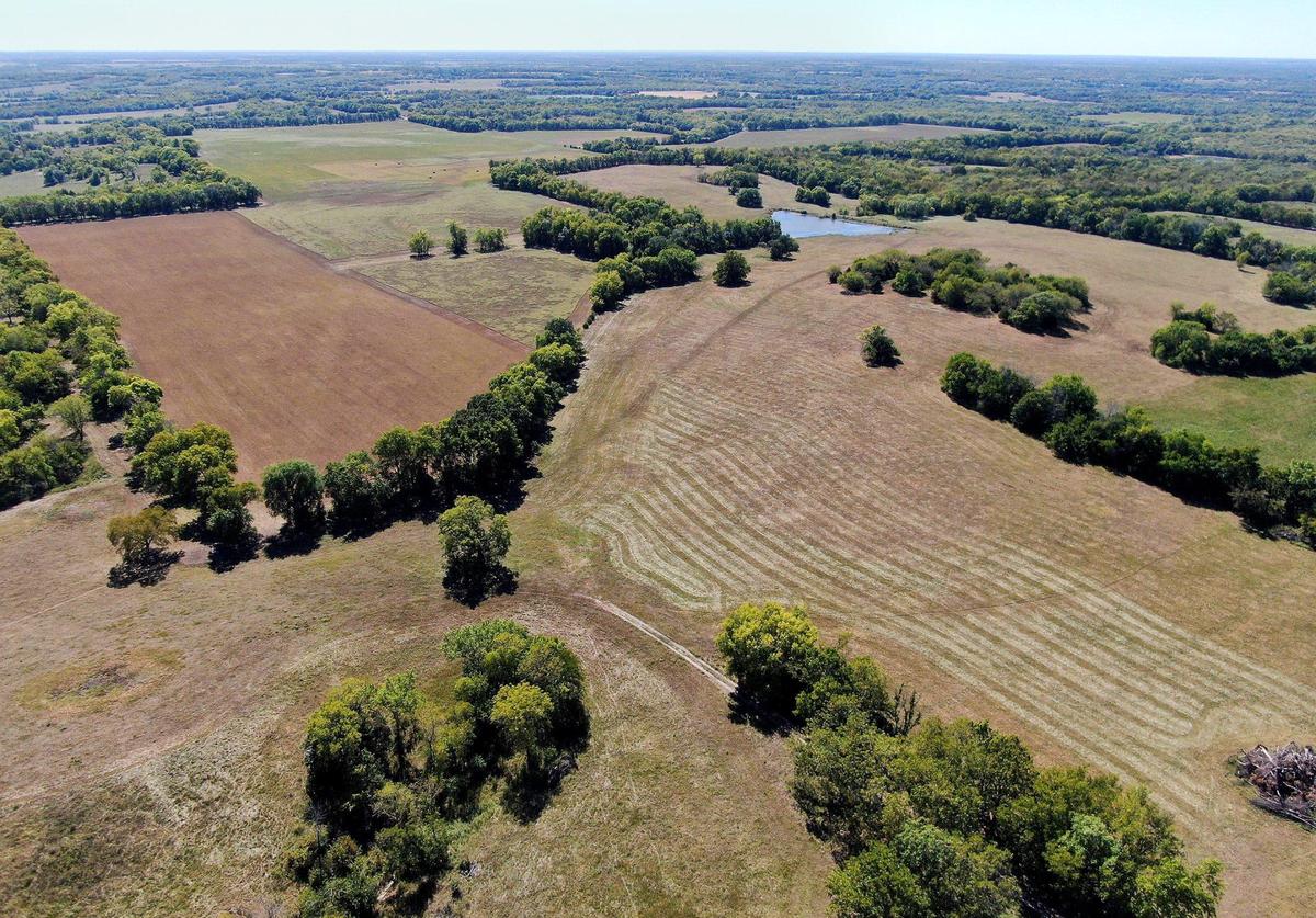 A proposed wind farm in Labette County is to be built on the land pictured, according to resident Josh Ghering. Since 2019, Texas-based RWE has expressed interest in putting a wind farm in Labette County.