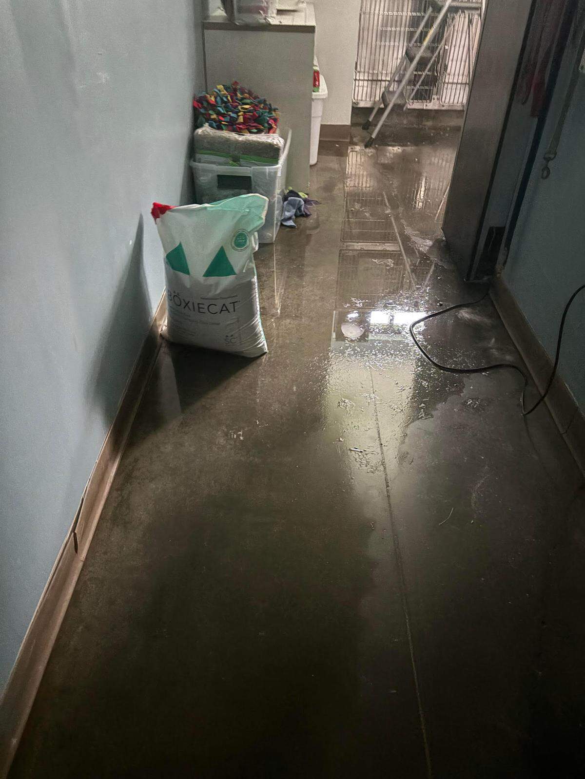 The cat shelter was most impacted by the flooding. It has been closed indefinitely.