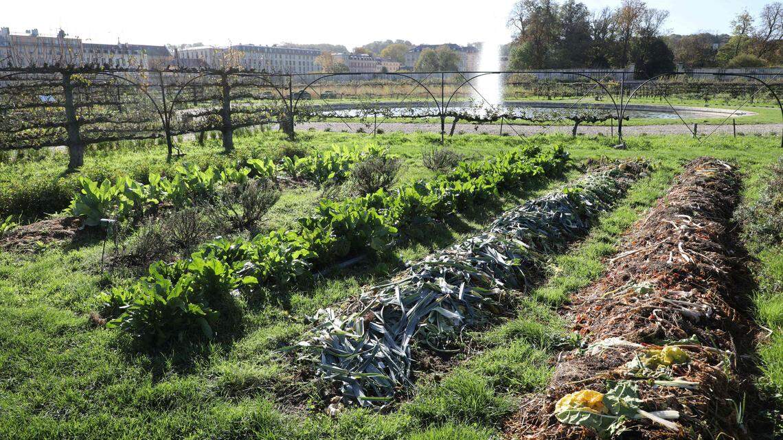 Do These 7 Easy Gardening Tasks Now—Before the Summer Heat Makes Yard Work Miserable