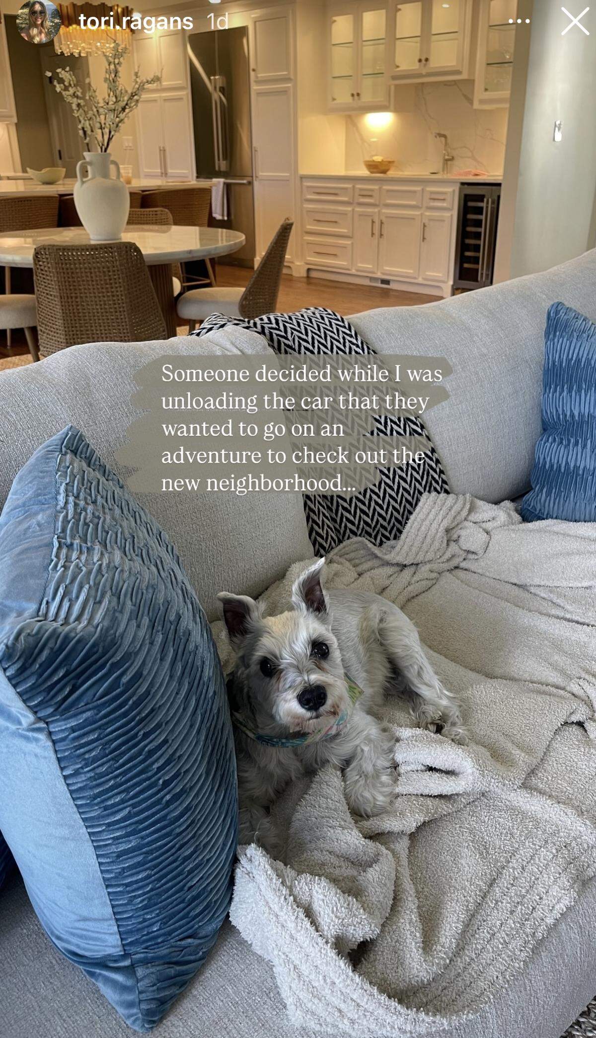 Royals wife Tori Ragans and the family dog have already had an adventure moving into their new KC home.