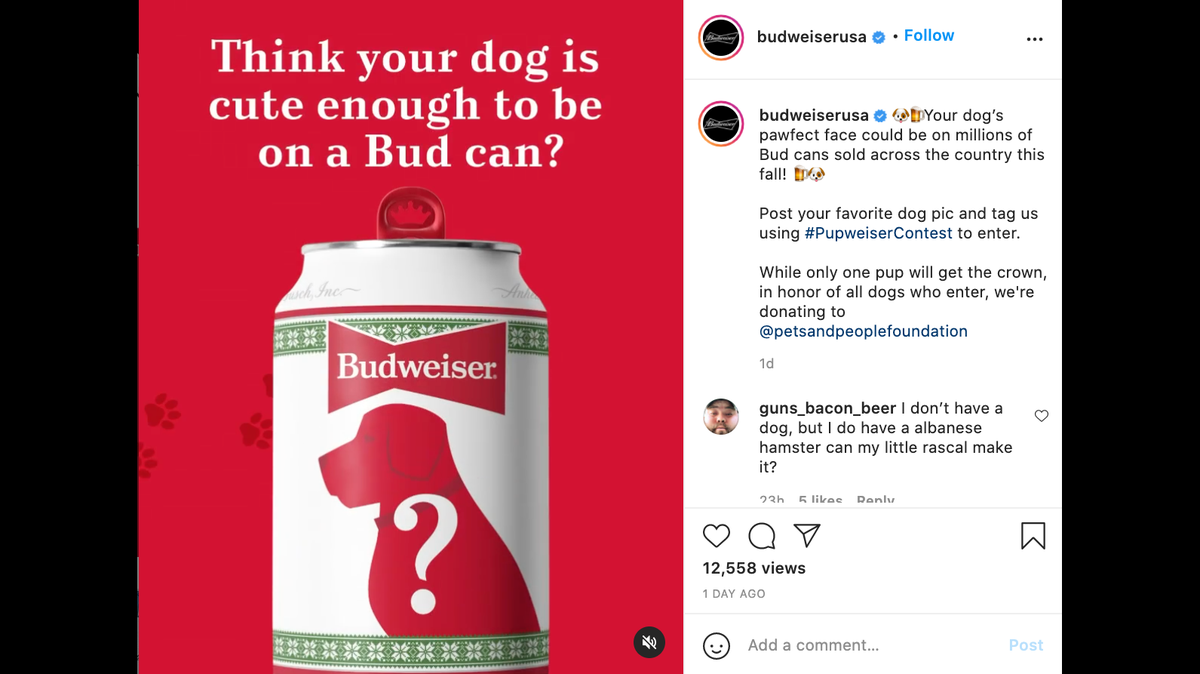 Budweiser is looking for a dog to be the face of its 2021 holiday can.