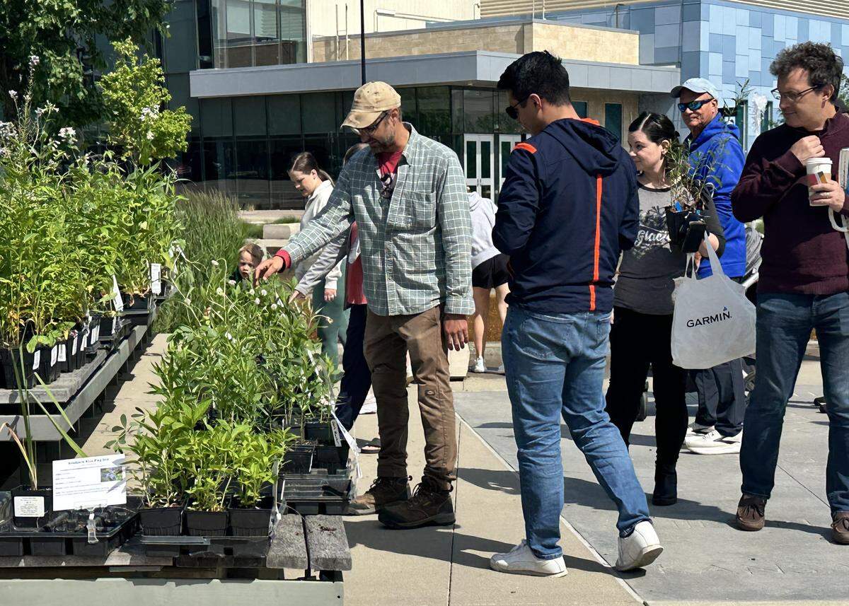 The native plant sales, like this one in Lenexa last spring, will be returning to Johnson County this month. There will be lots of variety in plants and lots of advice from experts for interested gardeners.