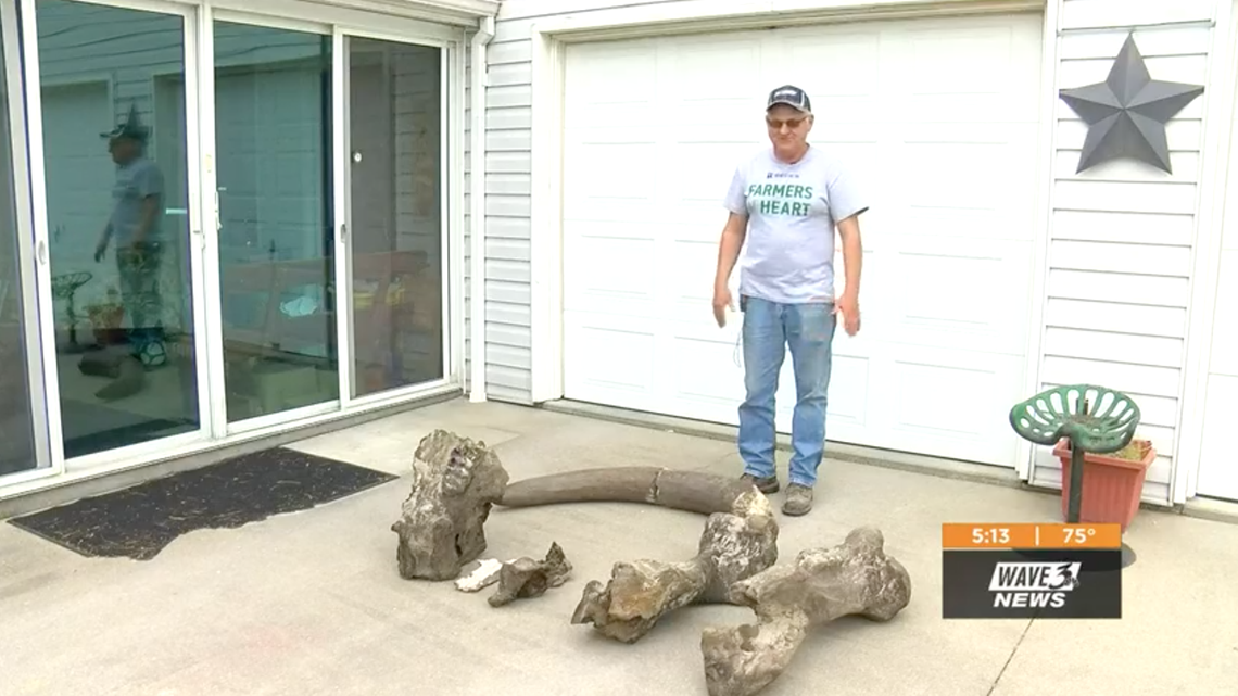 Bones of a mastodon were found on an Indiana family farm as crews worked on a sewer line project and found the thousands-year-old remains of the ancient, extinct mammal, a distant relative of modern elephants.