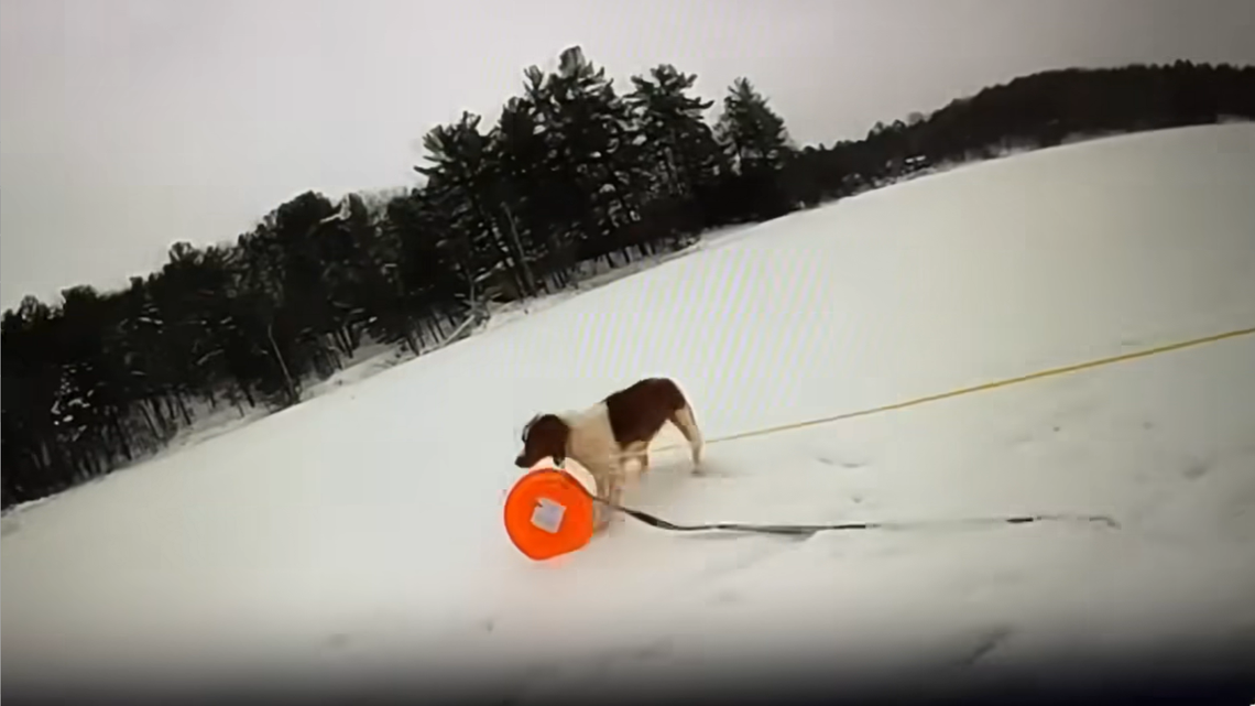 Ruby the dog helped save her owner’s life after he fell through thin ice on a Michigan lake, video shows.