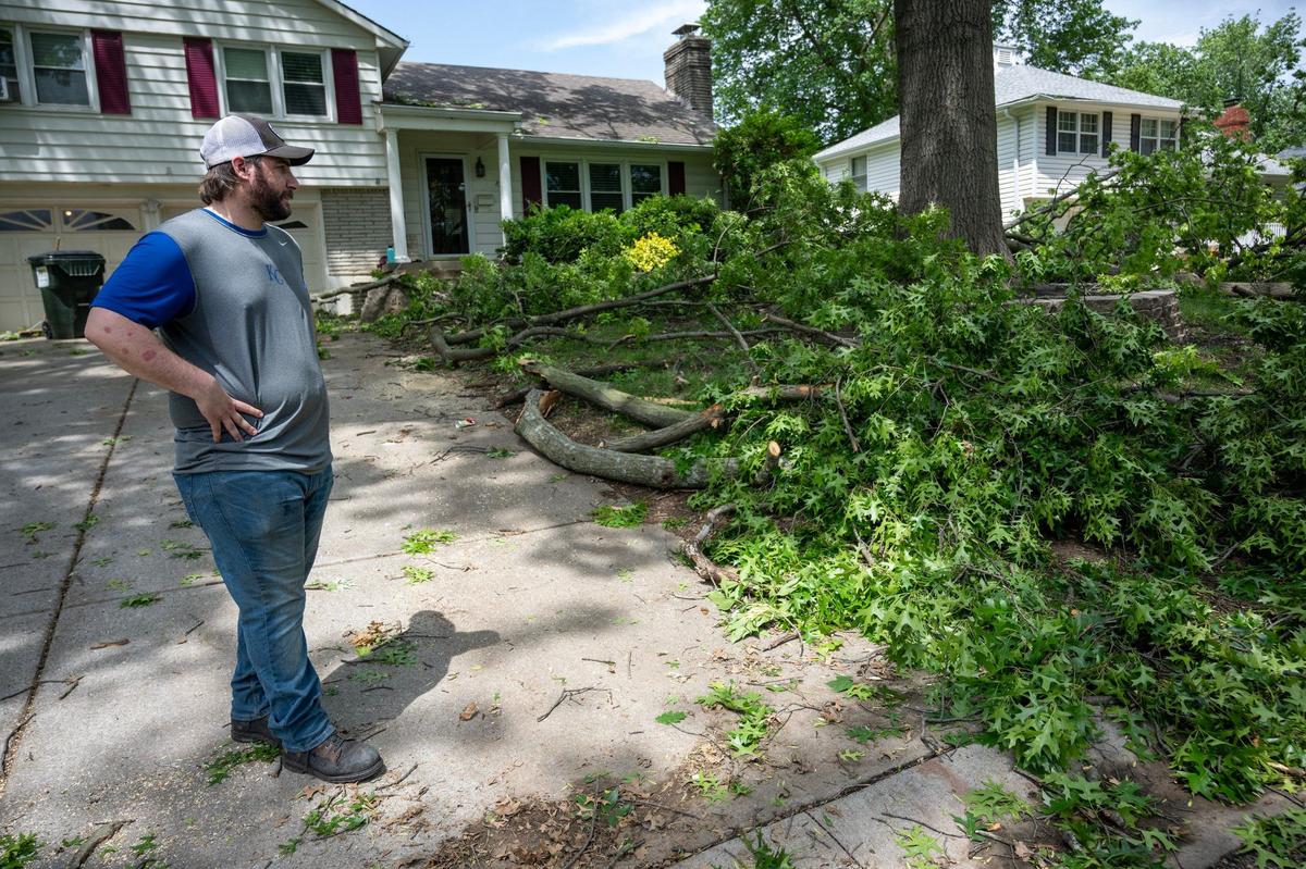 Nicholas Long looked over storm damage Monday after a late night thurnderstorm with strong winds moved through the 8700 block of Conser Street Sunday night bringing down trees and power lines. Long, said his car was badly damaged by tree limbs, looked over the damage.