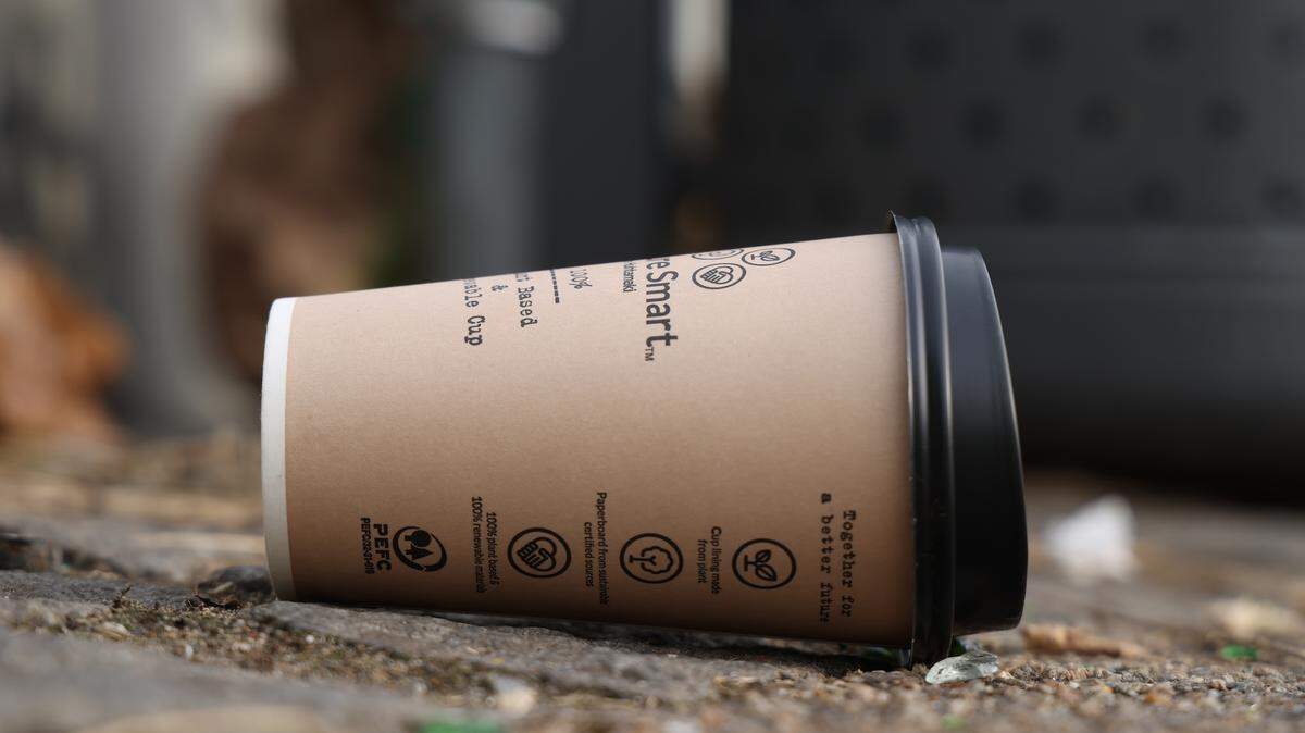 Sunlight May Matter More Than Coffee: Everything to Know