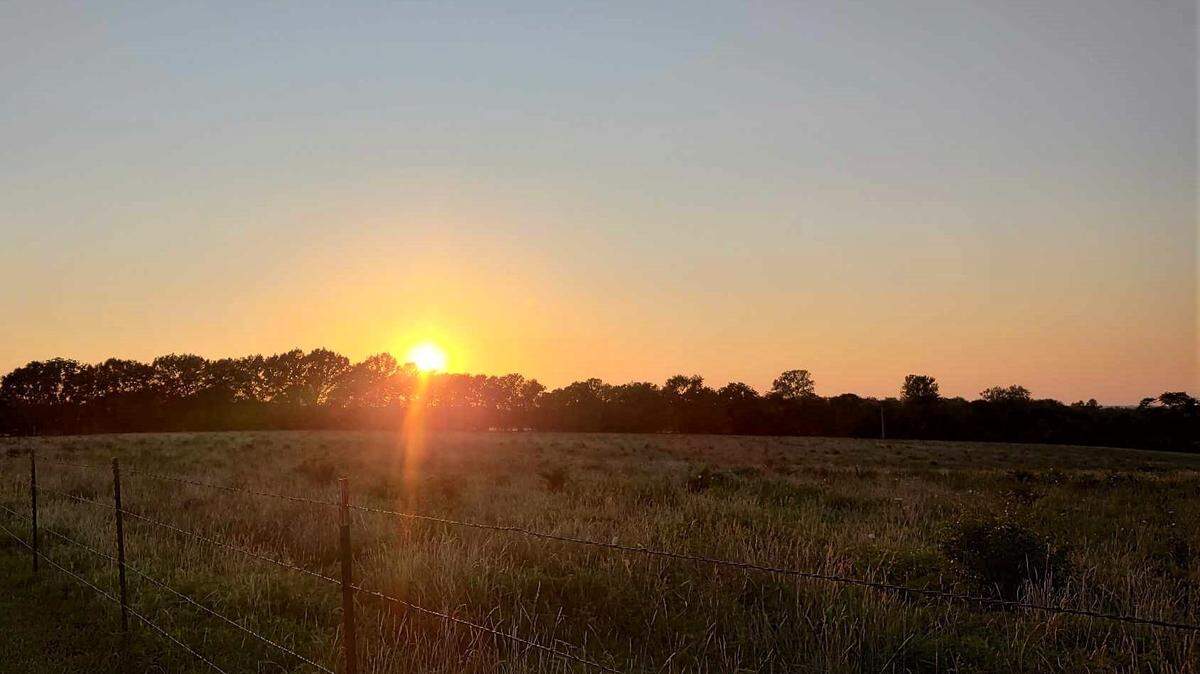 Nighttime temperatures have increased in the Kansas City area, and that’s bad news for our plants. Evening should be a period of rest for a plant. Instead, the plant is forced to focus more on respiration, using more energy than it generates.