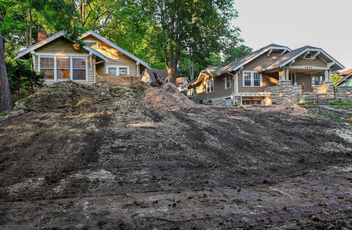 The yards of Carol Dille’s two homes in Westwood Park were once overgrown with weeds. The house on the left will soon be torn down. The one on the right will be saved and renovated.