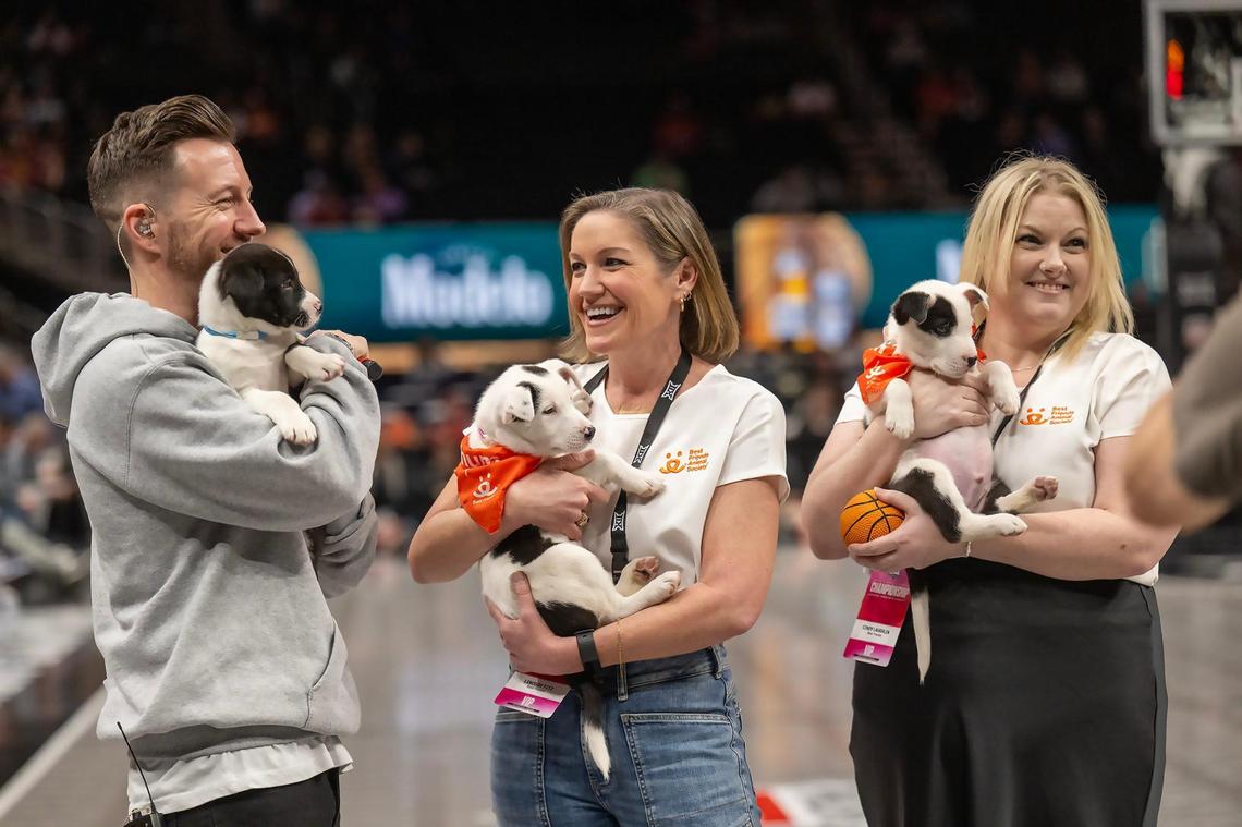 Tyler Banks, left, master of ceremonies for the Men’s Big 12 Basketball Tournament, joined Lindsay Fitz and Cindy McLaughlin of Best Friends Animal Society in holding shelter puppies on the court on Wednesday, March 12, 2025, during the Big 12 Men’s Basketball Tournament at the T-Mobile Center in Kansas City.