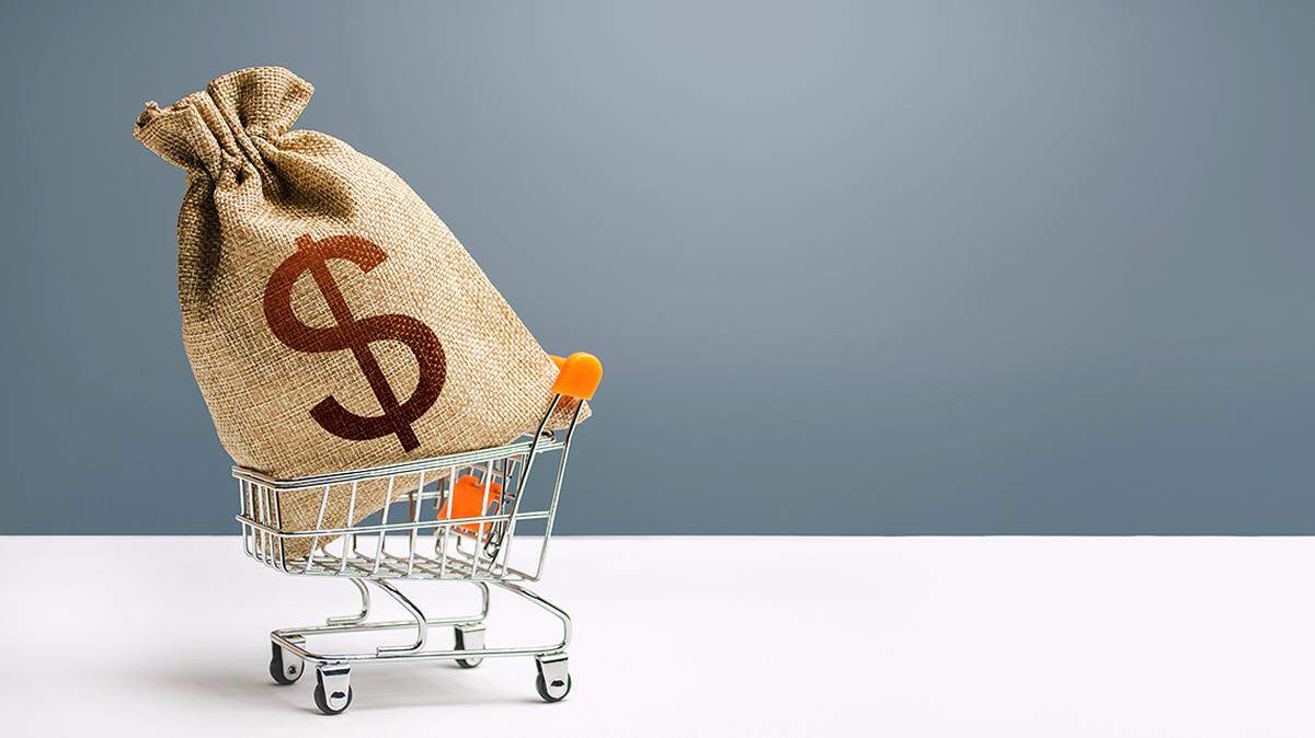Dollar money bag on a shopping cart. Profits and super profits. Loans and microloans. Minimum living wage. Consumer basket. Business and trade concept. Public procurement, budgeting. Economic bubbles