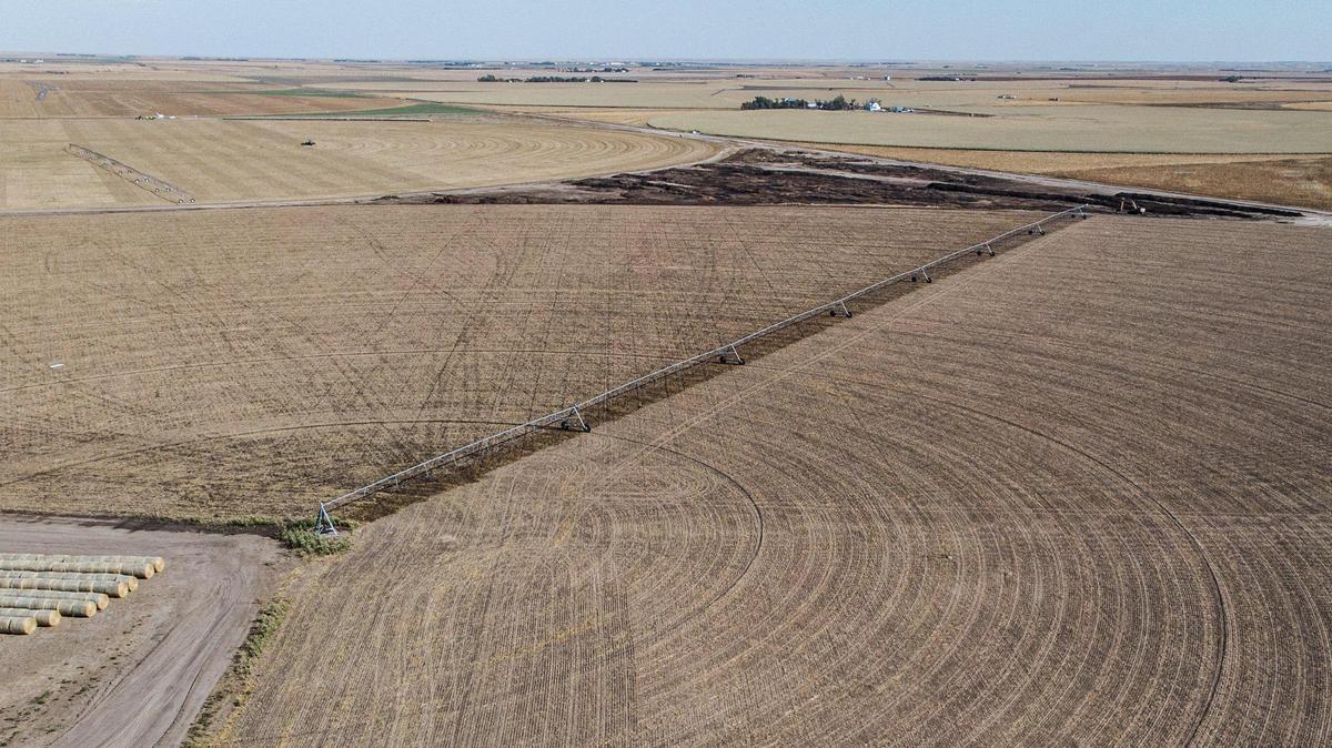 A center pivot sprinkler system irrigates a freshly planted field of triticale near the Hoxie Feedyard in Sheridan County, Kansas. The hybrid feed crop which takes much less water to grow that corn is becoming a go-to crop for cattle feeders who use it to reduce the amount of corn they need to use in their feed and reduce the demand for water from the Ogallala Aquifer.
