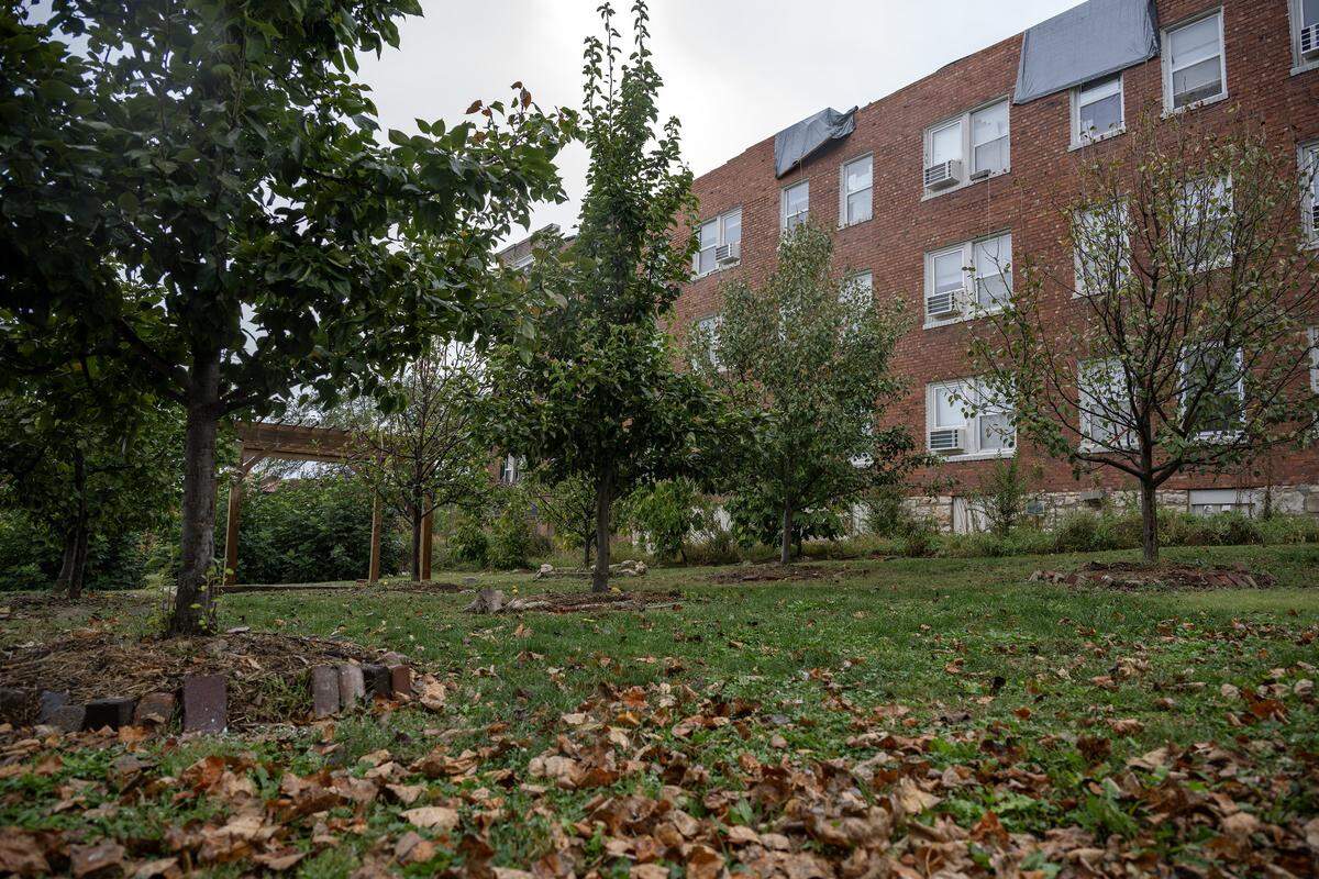 The community orchard is pictured in the Pendleton Heights neighborhood on Tuesday, Oct. 14, 2025, in Kansas City. The Maple Flats apartment building, seen at right, has proposed replacing the orchard with a parking lot for residents.