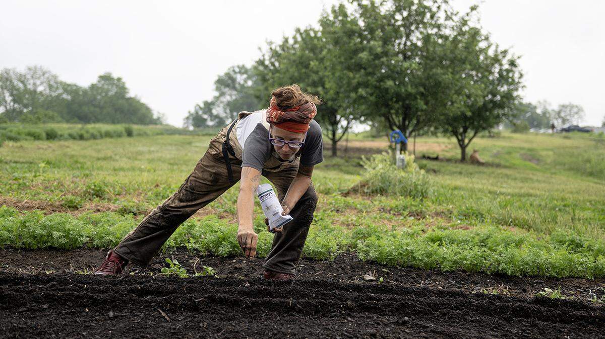 Brooke Salvaggio plants carrot seeds into compost dirt at Urbavore Urban Farm.