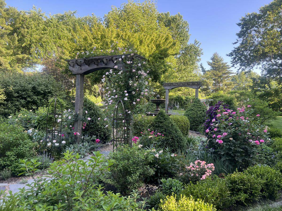 The Extension can help you plan your own garden so it could look as fabulous and lush as this one.