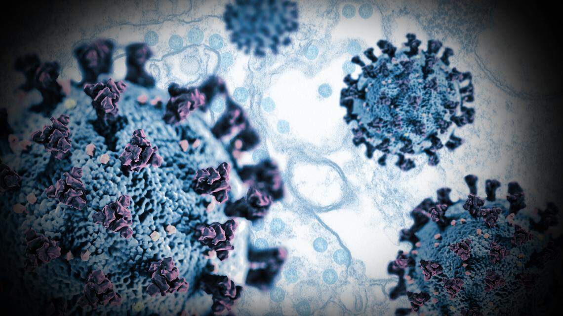 8th KS COVID-19 case reported in Franklin County. Officials declare state of disaster