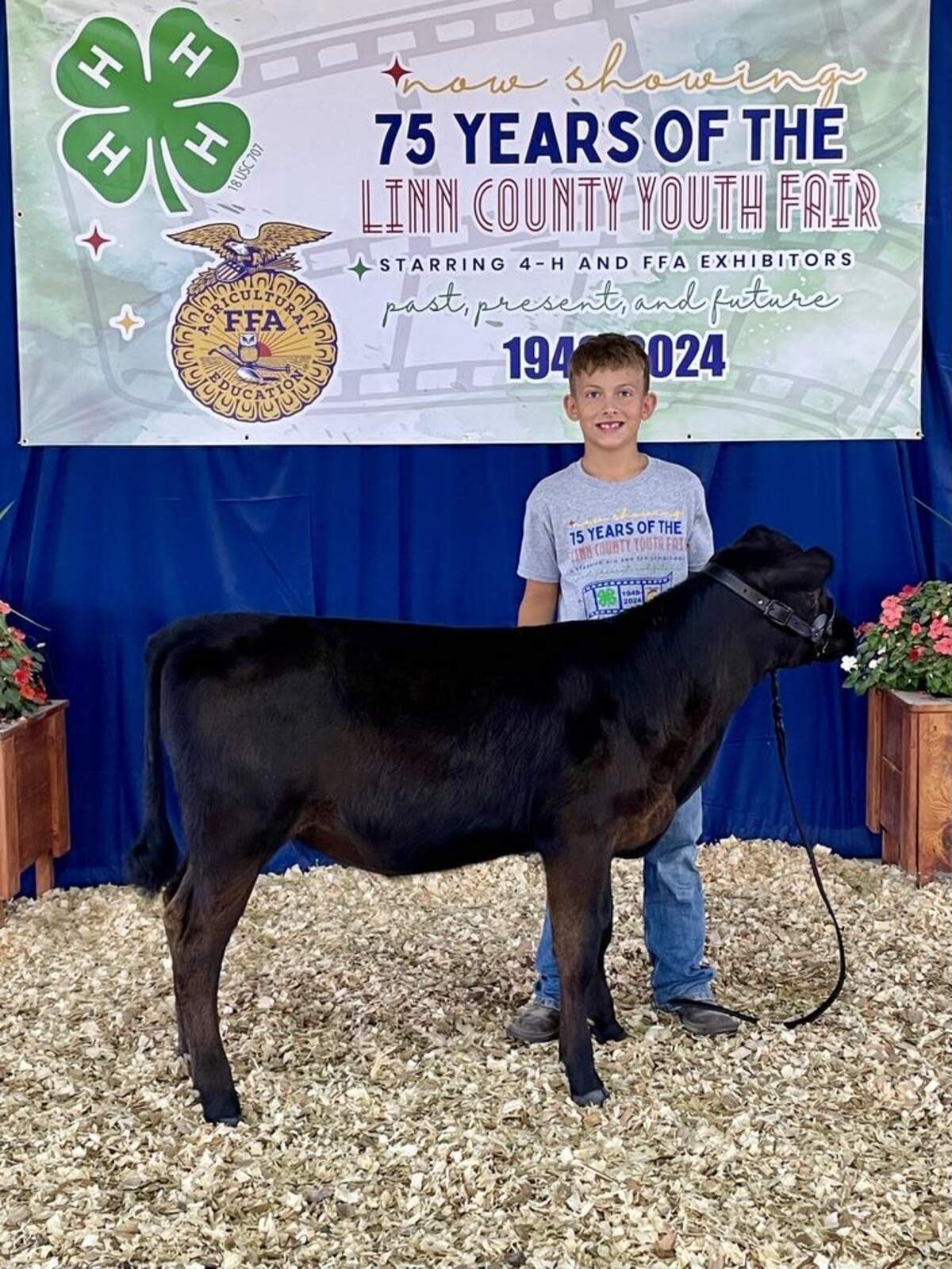 Wade Brown, 9, of Linn County, Missouri, with his ribbon-winning calf, Taylor Swift.