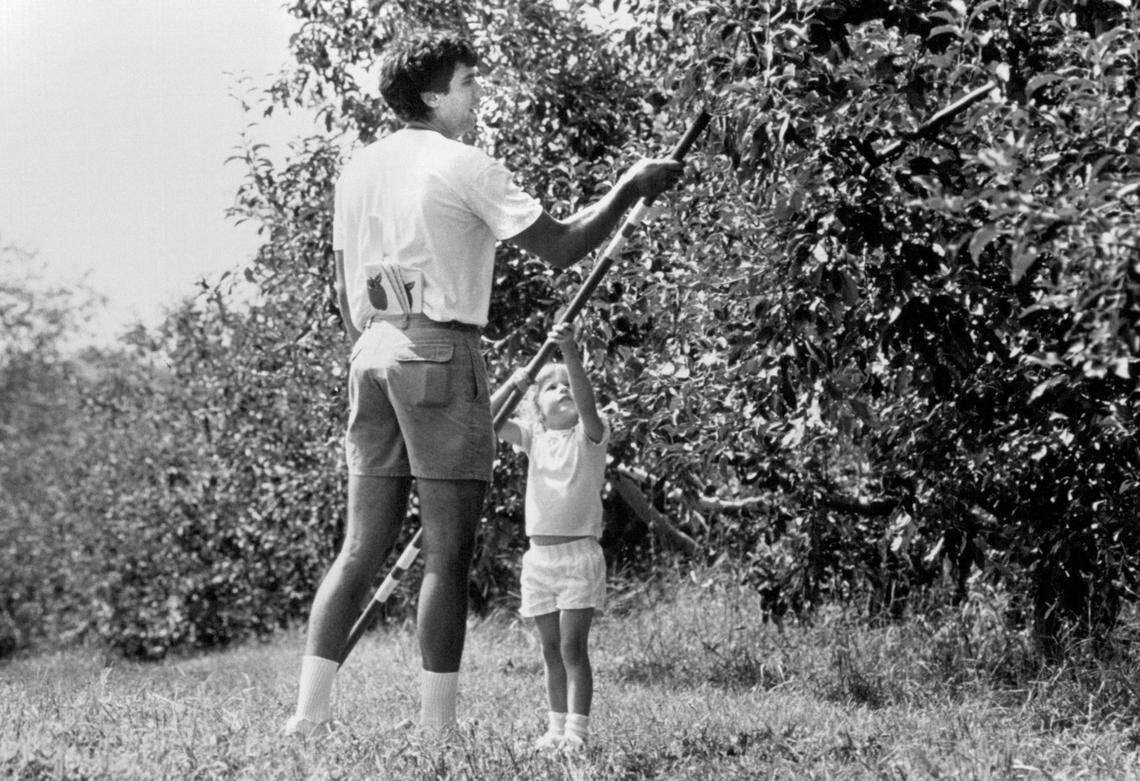 Stephenson’s Old Apple Farm Restaurant opened on a family apple orchard in 1946.