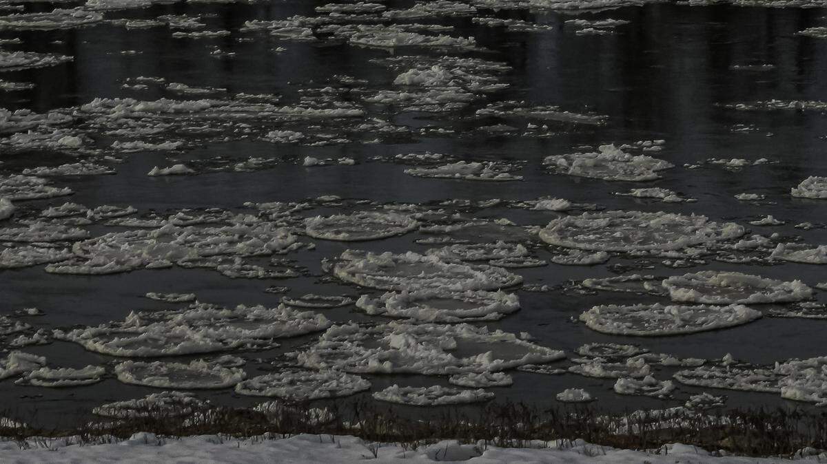 Pancake ice found along the Missouri River near Berkley Riverfront in Kansas City.