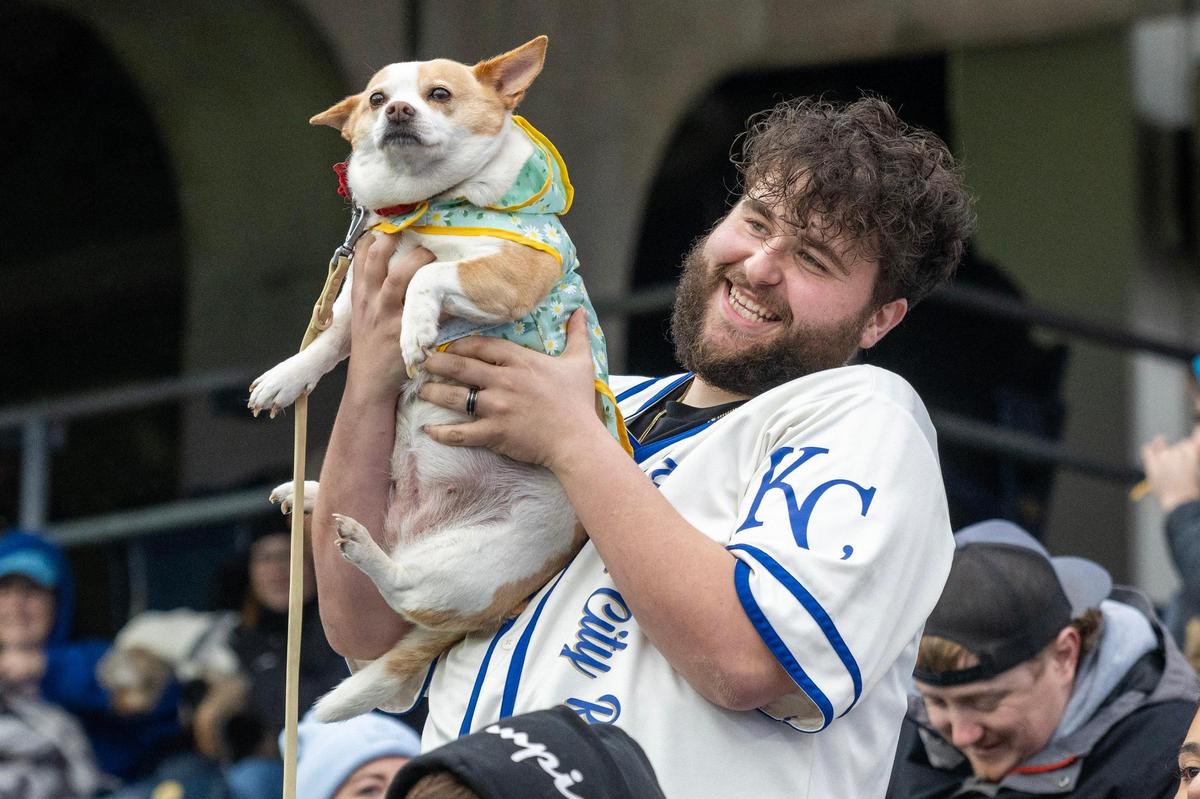 Logan Blace holds up his dog, Dulce, during Bark at the Park at an MLB game between the Kansas City Royals and the Baltimore Orioles on Friday, April 4, 2025, at Kauffman Stadium.