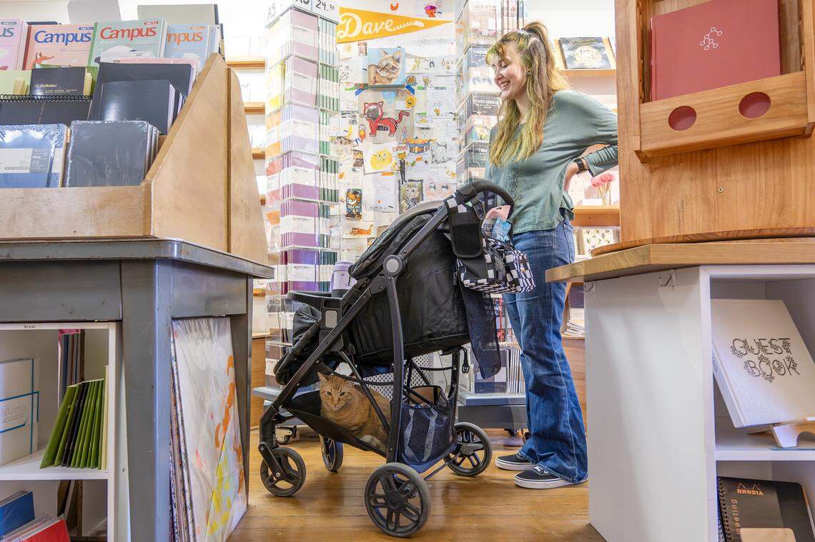 Madison Jupe looks down at Dave, a shop cat, as he catches a rind in her stroller at Wonder Fair on Wednesday, Nov. 5, 2025, in Lawrence.