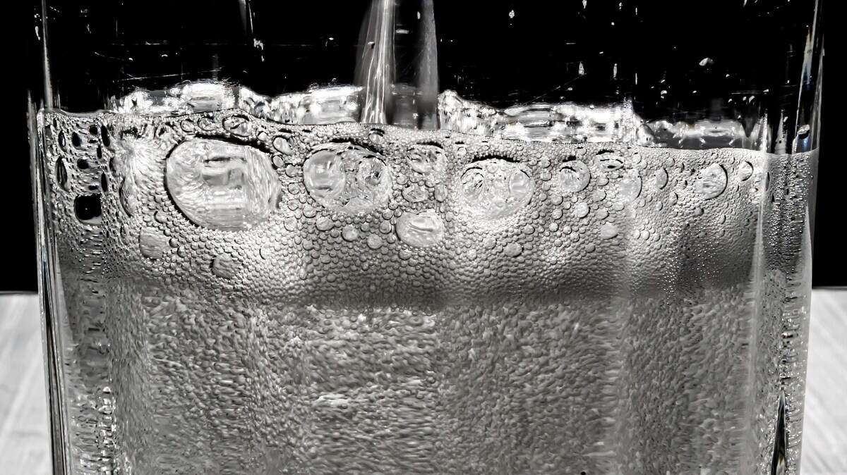 Do Prebiotic Sodas Really Work? What Dietitians Say About Gut Health ...