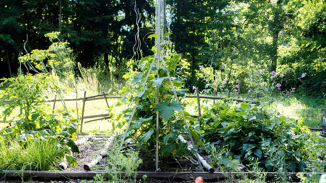 Growing two or more crops in one growing space, can be tricky. Take these tips