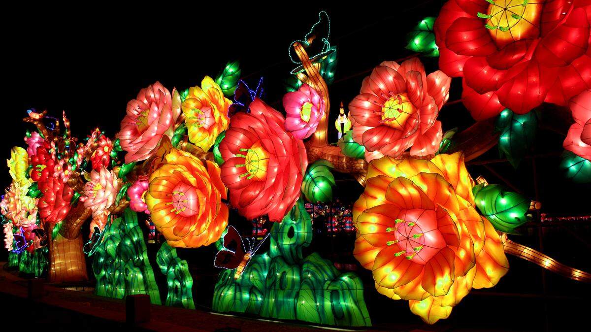 Illuminated flora and fauna are part of the show at the Kansas City Zoo and Aquarium’s GloWild lantern festival, which will operate beginning at 5 p.m. Dec. 25.