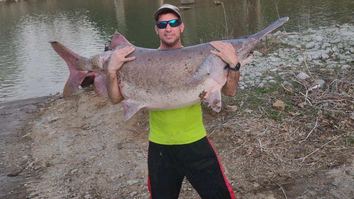 Robert Murphy, of Fayetteville, Arkansas, caught a 102-pound paddlefish on the Upper White River near Goshen, Arkansas.