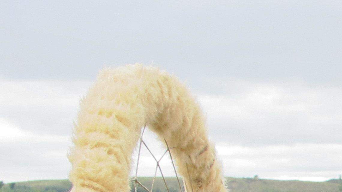 Jon Don Ilone Reed, an Army veteran and member of South Dakota's Cheyenne River Sioux Tribe, protested an oil pipeline near the Standing Rock Sioux reservation in southern North Dakota. Reed said he fought in Iraq and is now fighting "fighting for our children and our water."