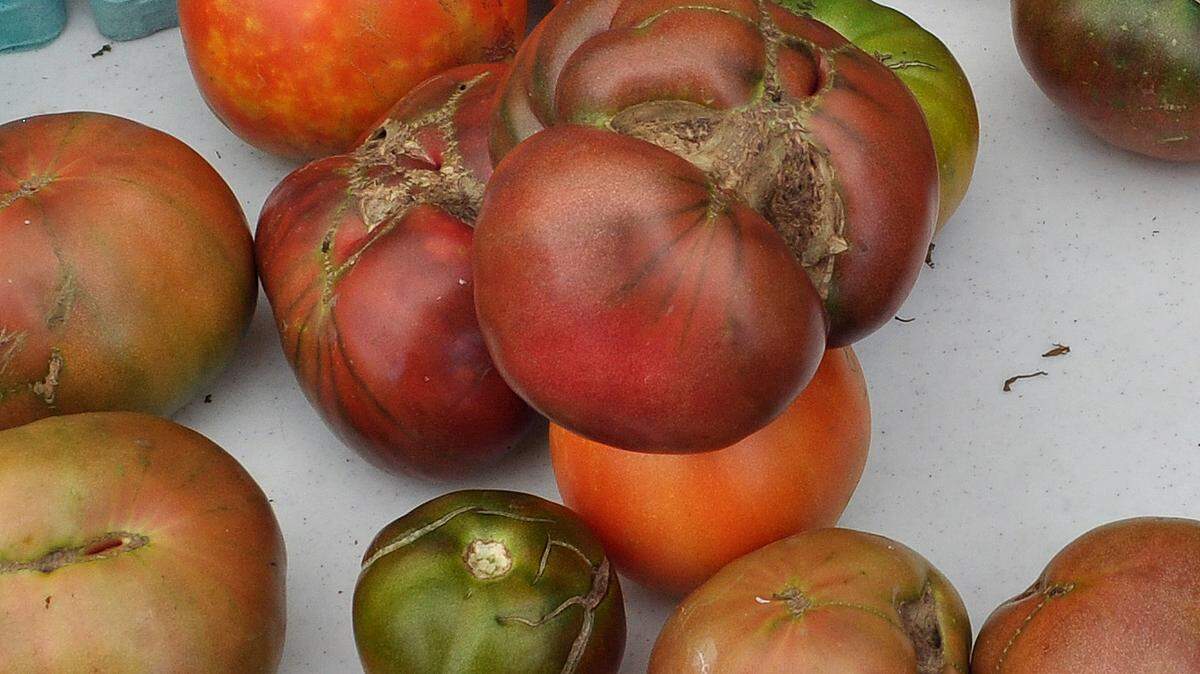 For many, an heirloom tomato is the only variety to slice.