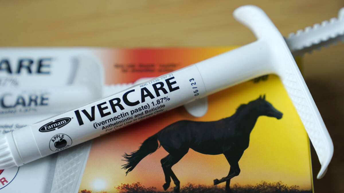 Ivermectin probably won’t kill you, but that doesn’t mean you should take it for COVID-19.