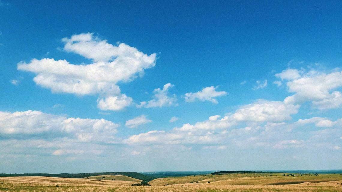 Five critically endangered Malayan tiger cubs were born at an Oklahoma zoo.
