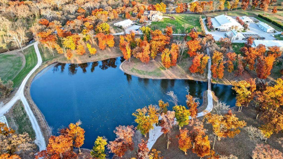 The Basehor Legacy Estate has 78 acres of land, plus a house, two ponds and an equestrian arena.