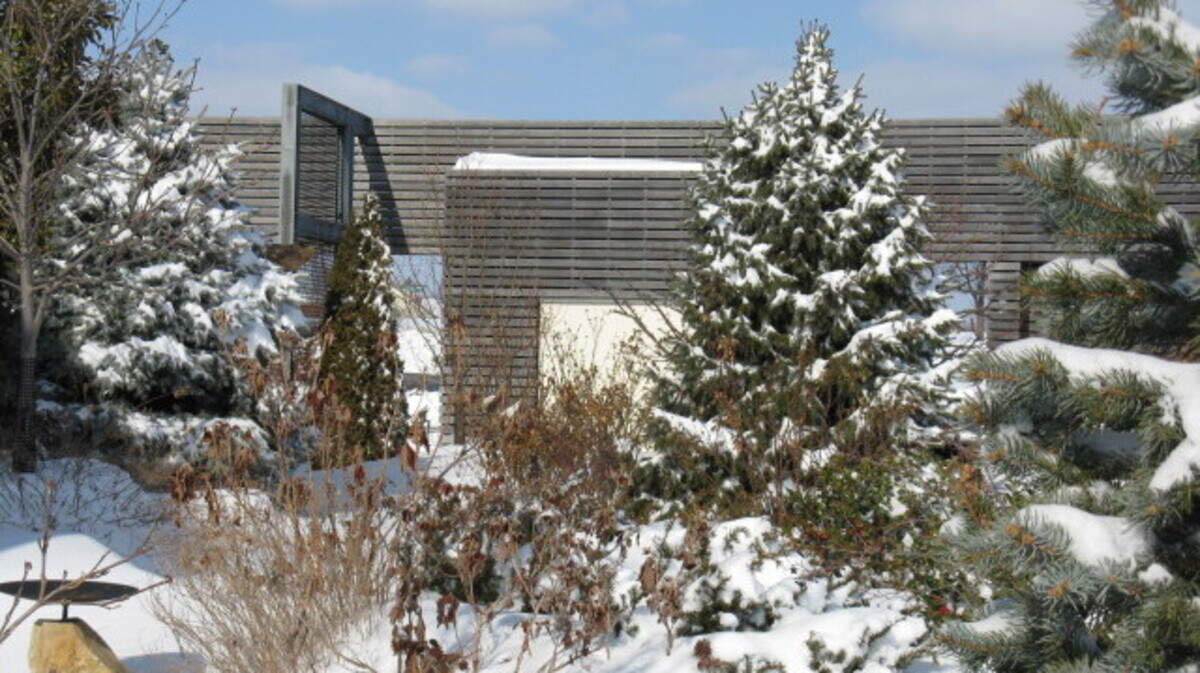 An empty spot in the landscape could be the perfect spot to plant an evergreen.