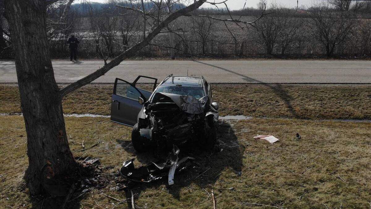 A 68-year-old man drove this Nissan SUV into a tree while arguing with a 38-year-old female passenger, authorities said. They were both hospitalized.