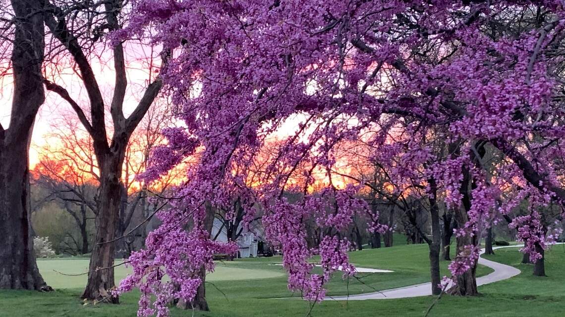 She offers a huge thanks to Mother Nature for a dreamy, chill spring
