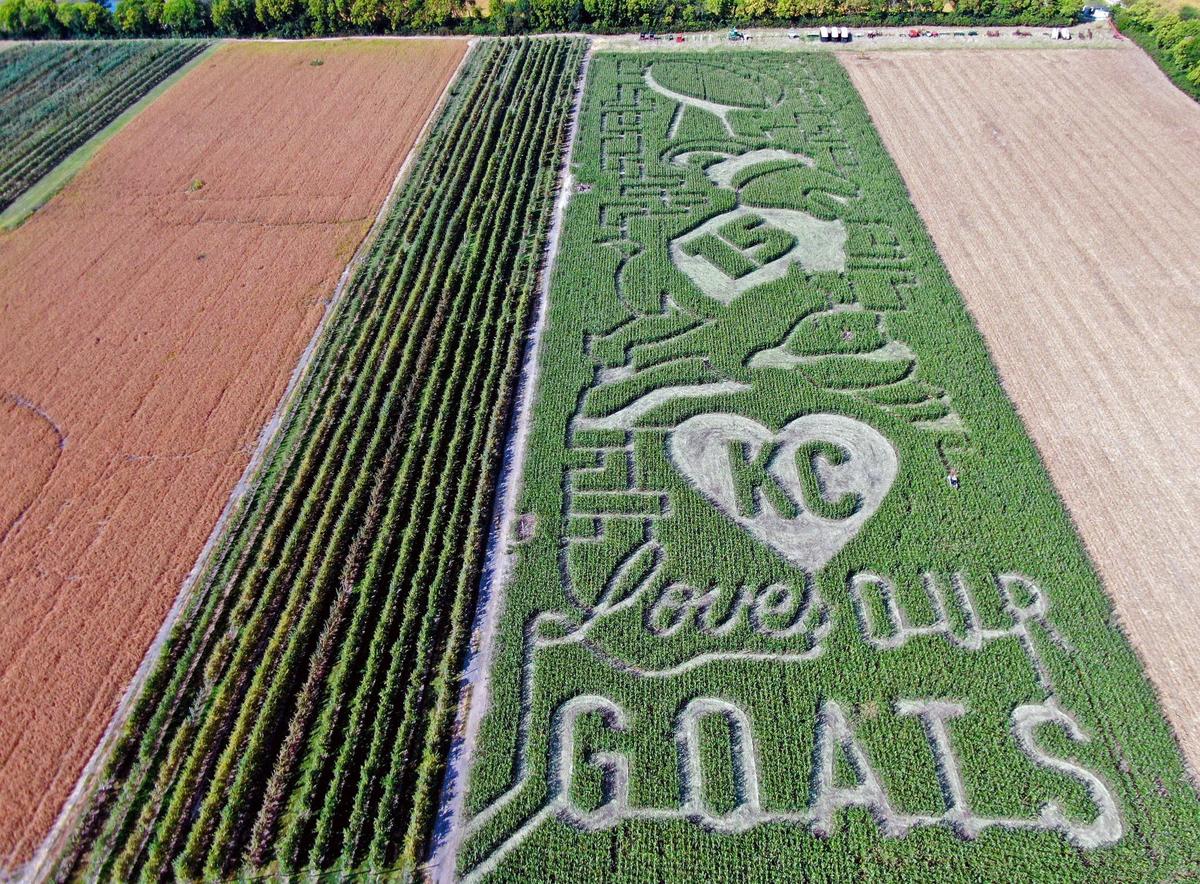 Rob Stouffer of Precision Mazes in Lee’s Summit spent over eight hours of carving a 10-acre corn maze at Johnson Farms in Belton, Missouri, seen on Sept. 16. The maze pays tribute to “GOATs” and the Kansas City Chiefs. The maze is open for visitors at the farm.