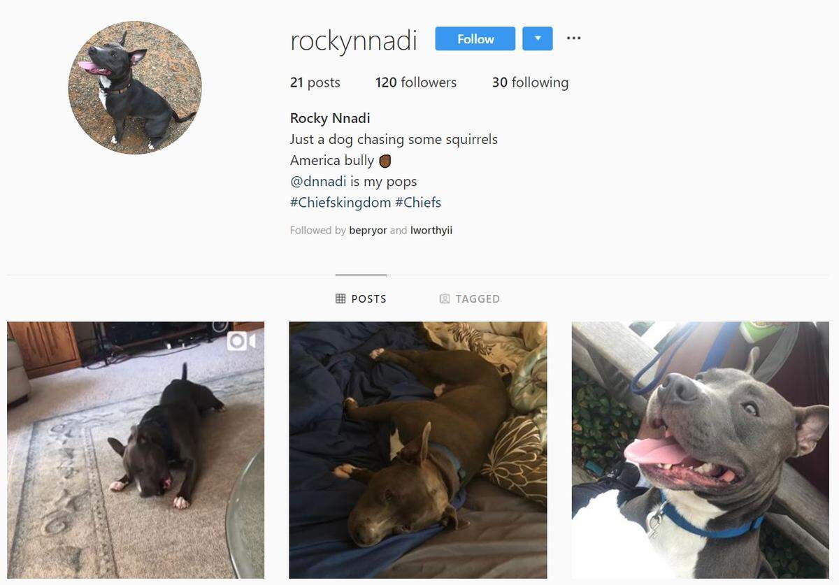 Chiefs rookie defensive lineman Derrick Nnadi has an Instagram account for his canine pal, Rocky.